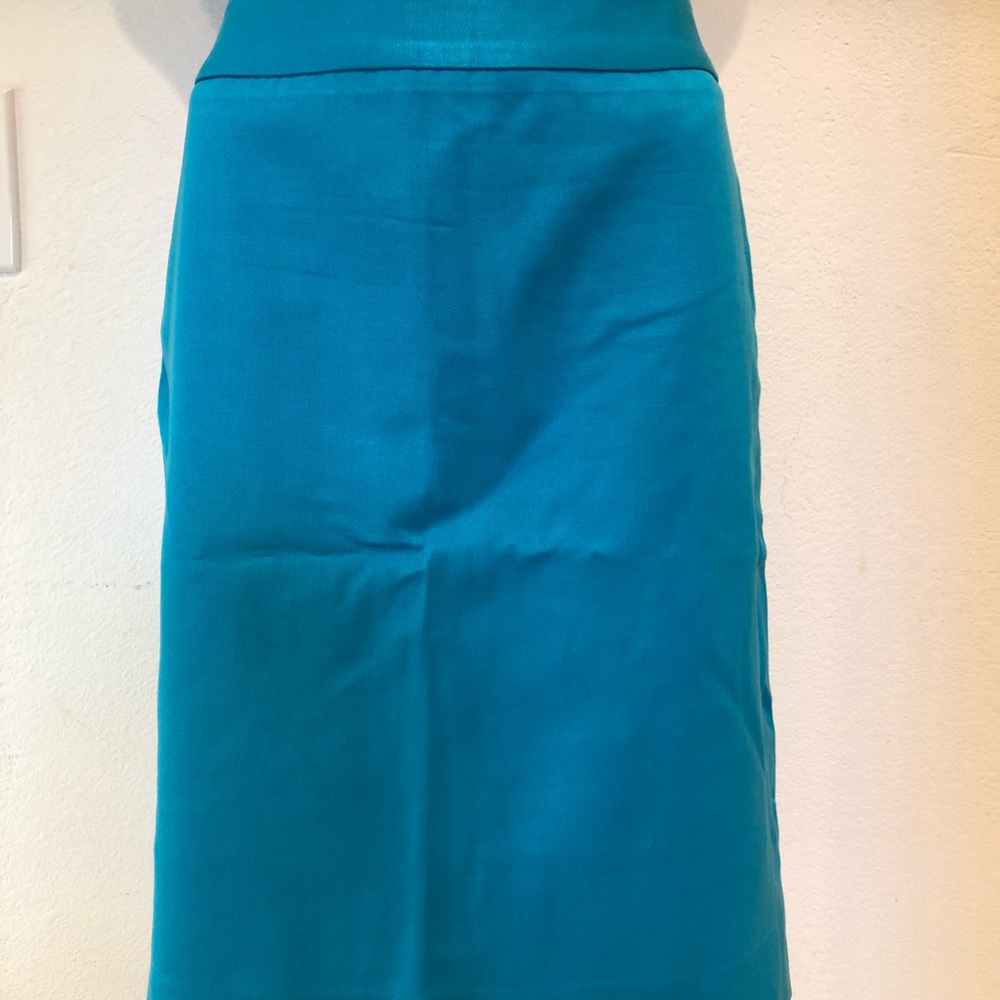 Banana Republic Skirt